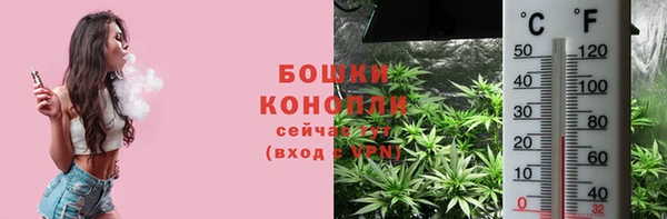ГАЛЛЮЦИНОГЕННЫЕ ГРИБЫ Заволжск