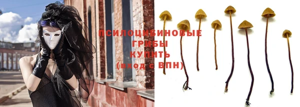 метадон Заводоуковск